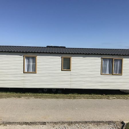 Ladyevelyn New Quay Exterior foto